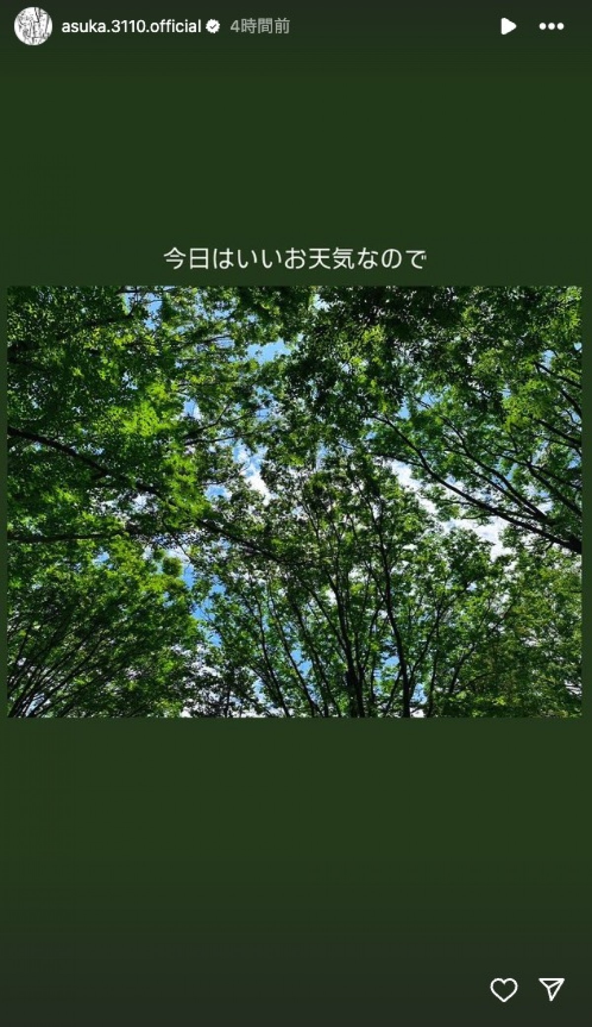 齋藤飛鳥、手作り弁当持参で公園へ　「めっちゃ美味しそう」「すごくない?!」