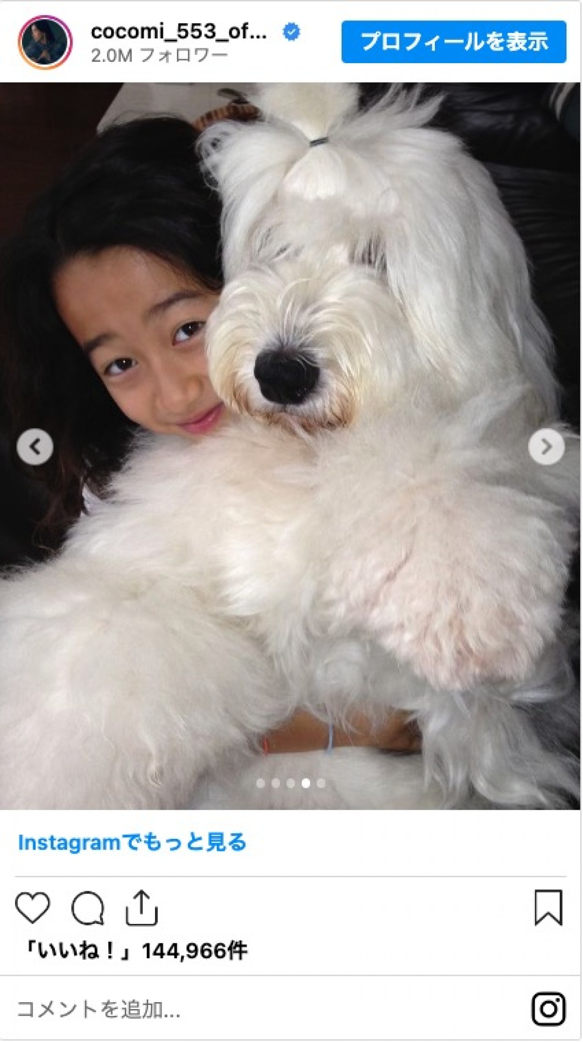 Cocomi、Koki，愛犬が天国へ「木村家に来てくれてありがとう」