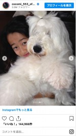 愛犬との思い出の写真を公開したCocomi　※「Cocomi」インスタグラム