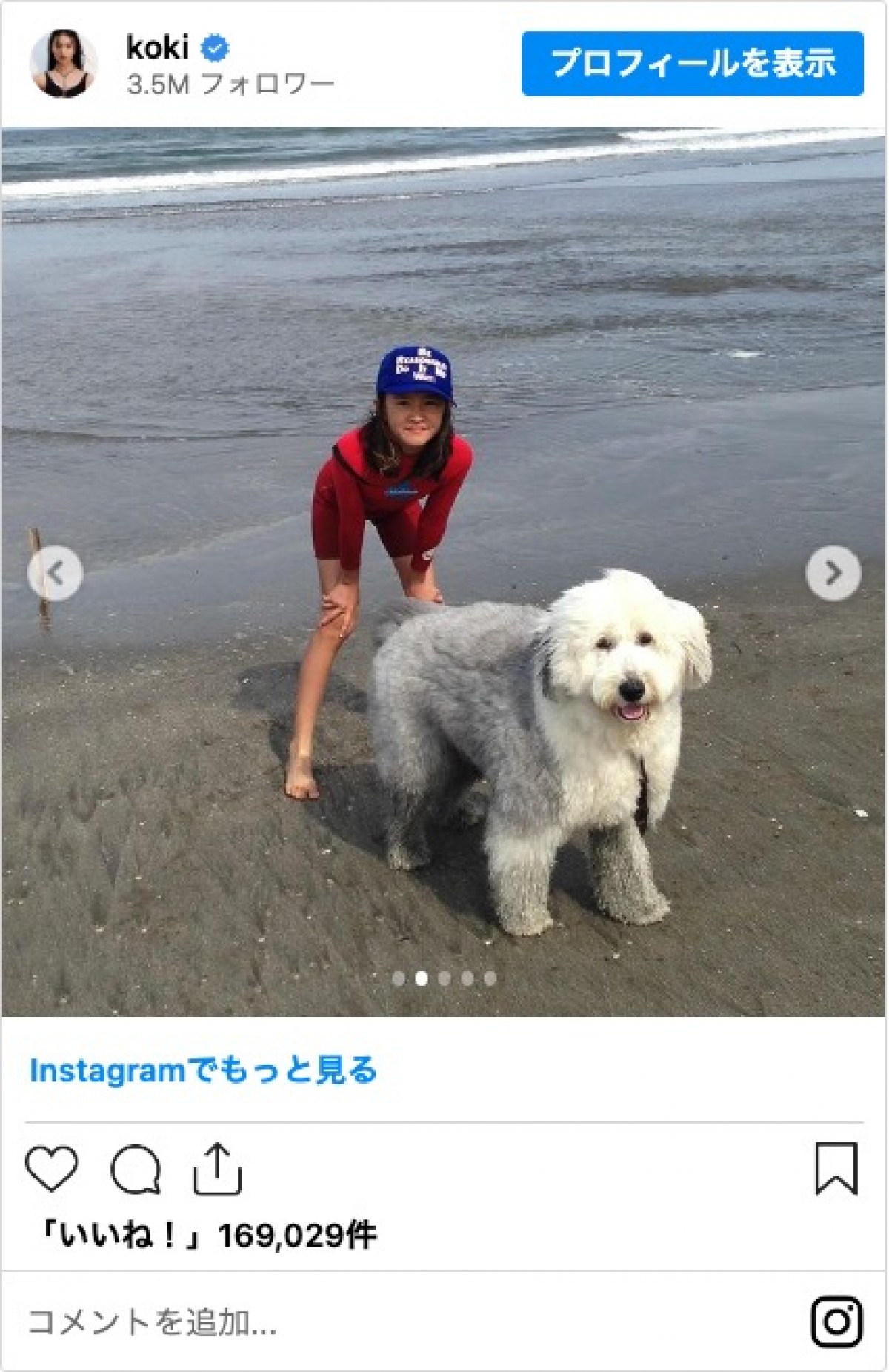 Cocomi、Koki，愛犬が天国へ「木村家に来てくれてありがとう」