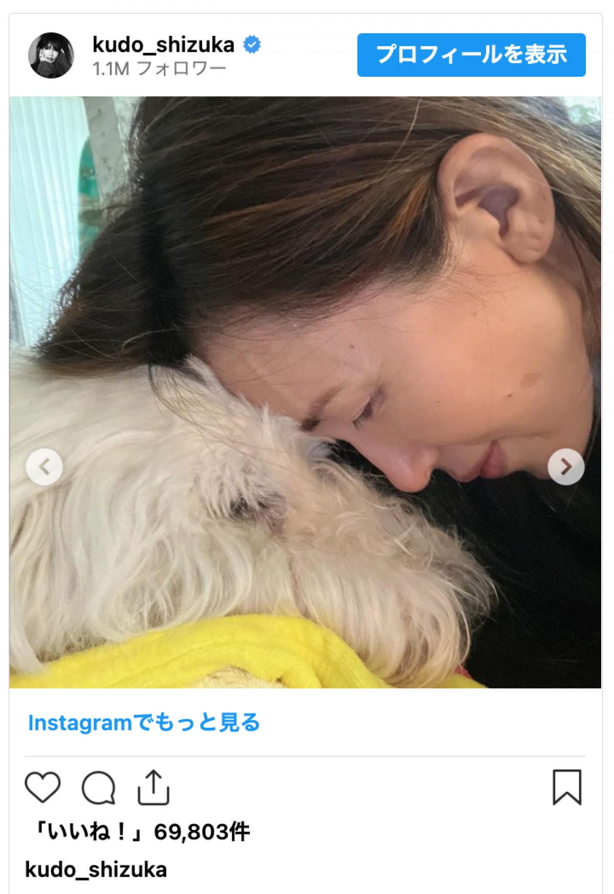 工藤静香、愛犬との最後の日々を振り返る「家族の為に生きていてくれている」