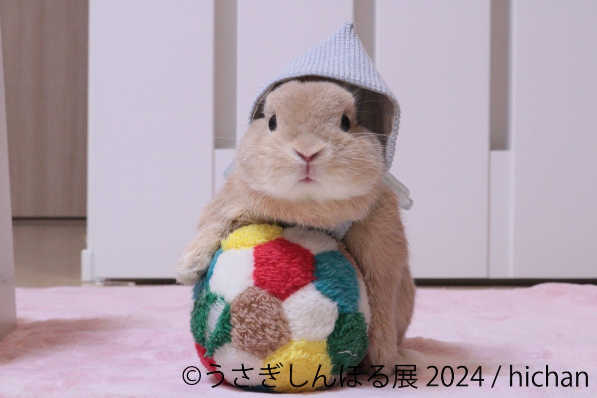  240815_「うさぎしんぼる展 2024」