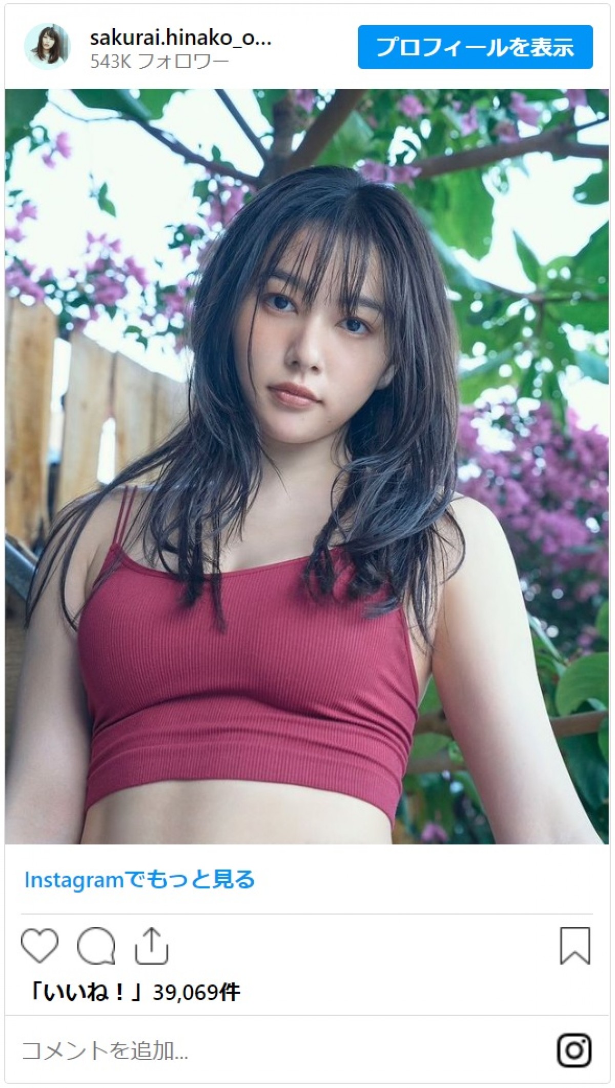 桜井日奈子、大人の色気あふれるブラトップ姿にファンがメロメロ「色っぽい」「美しすぎるよ」