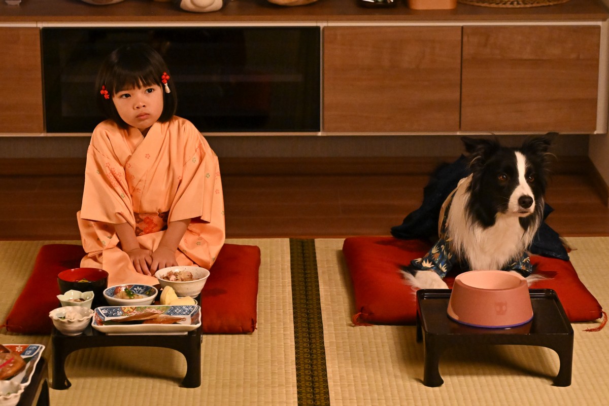 『西園寺さんは家事をしない』最終回　西園寺さん＆楠見＆ルカがハグ「愛おしい」「幸せなシーン」と反響