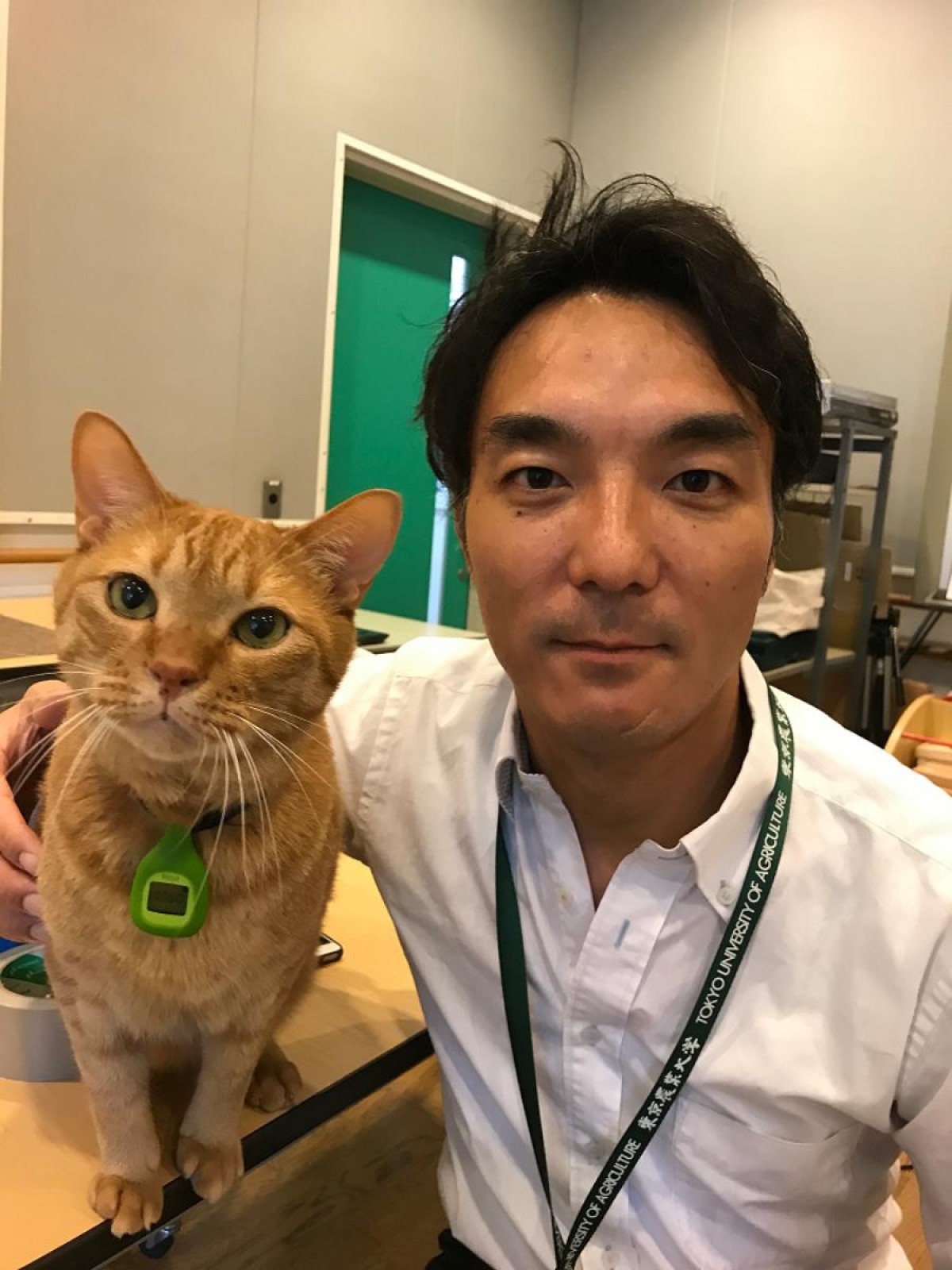 「ねこ検定presents にゃんぱく2025」展示作品