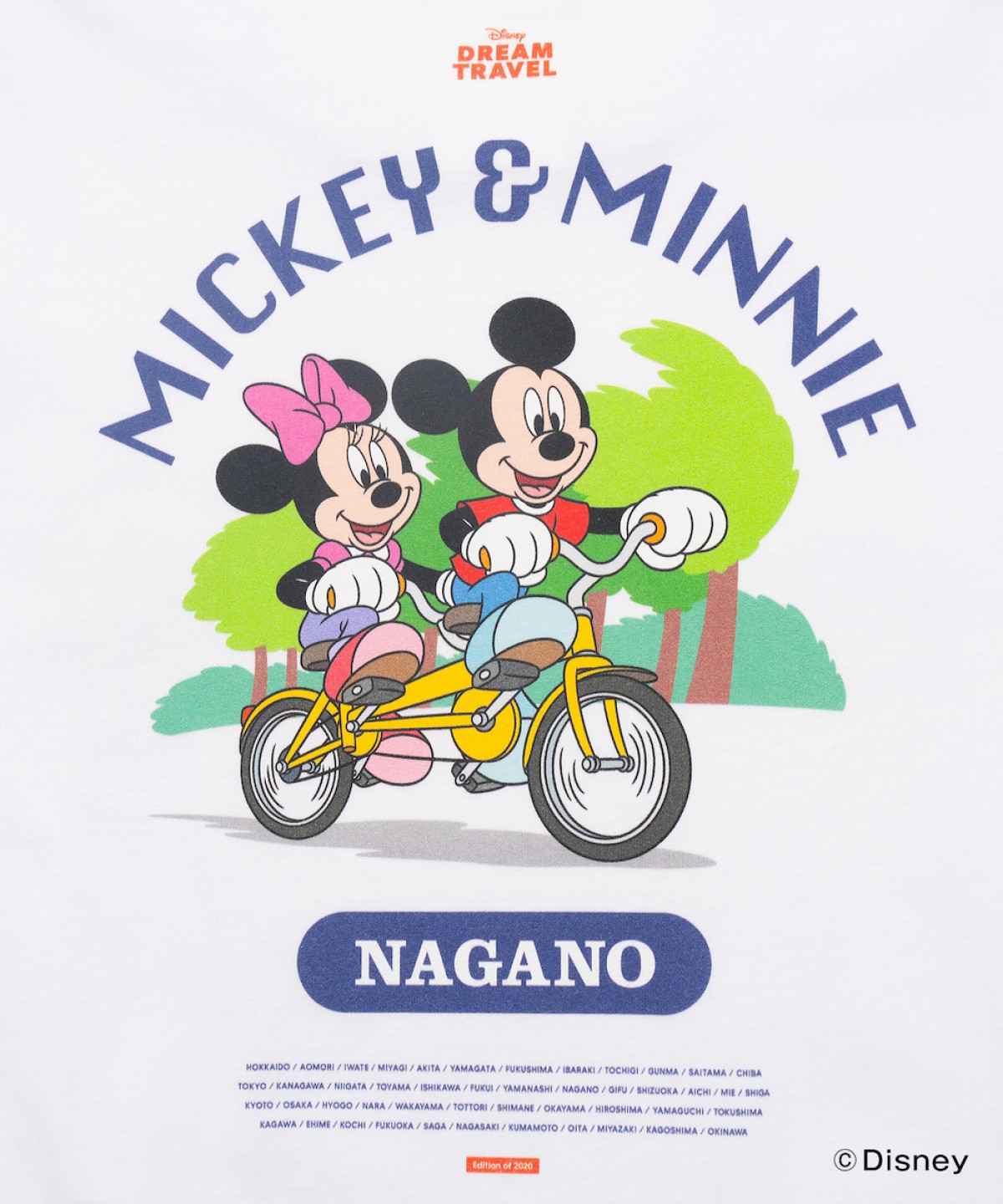 241213_ご当地ディズニーTシャツ