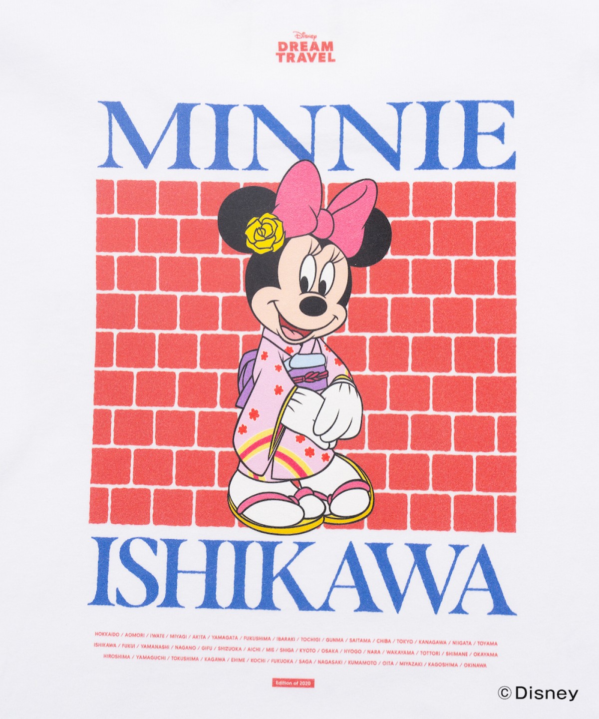 241213_ご当地ディズニーTシャツ