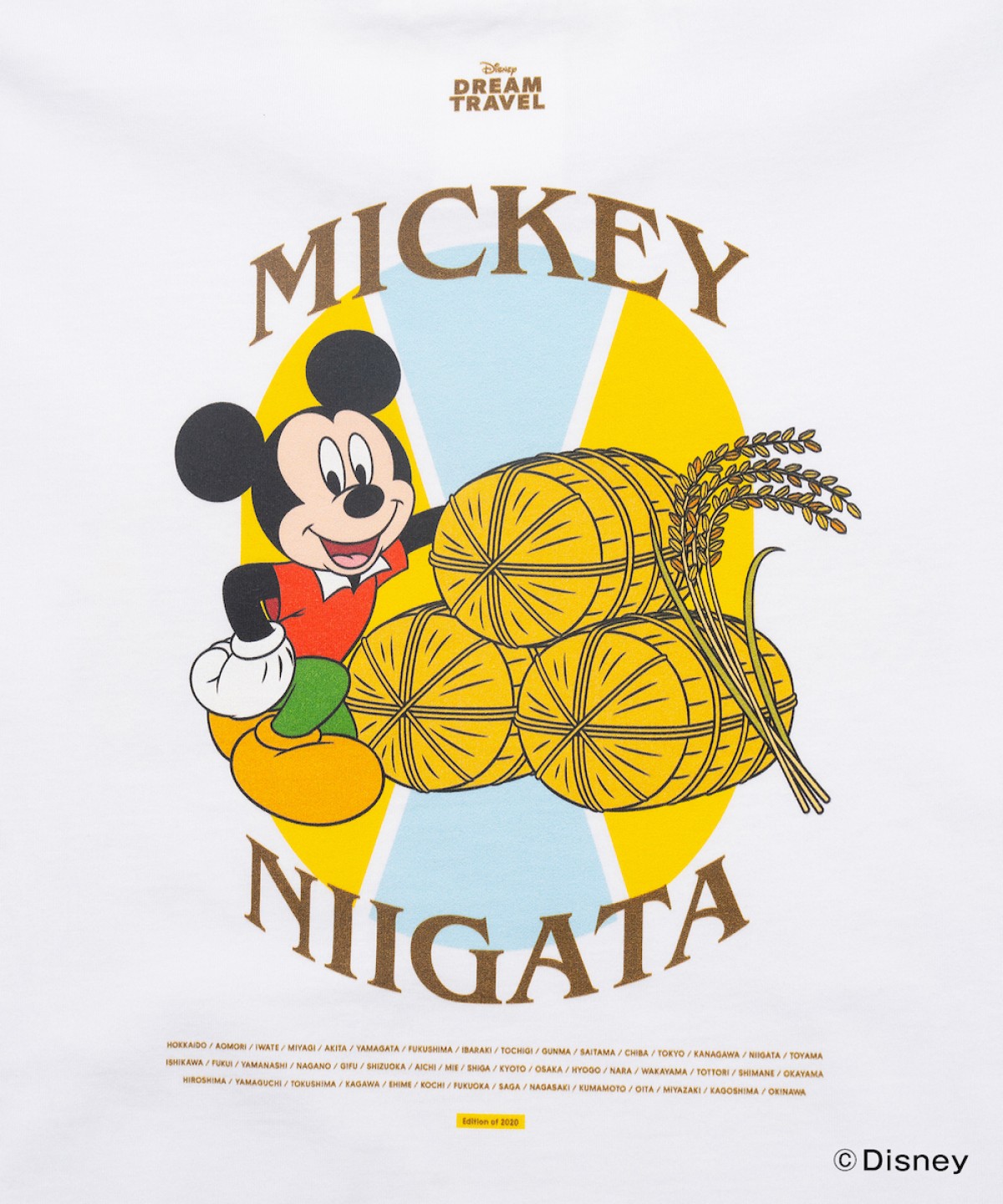 241213_ご当地ディズニーTシャツ