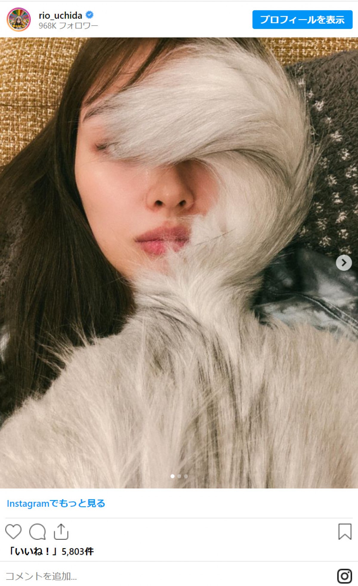 内田理央、愛猫・たままちゃんの習性に反響「モフモフ」「いい匂いがしそう」