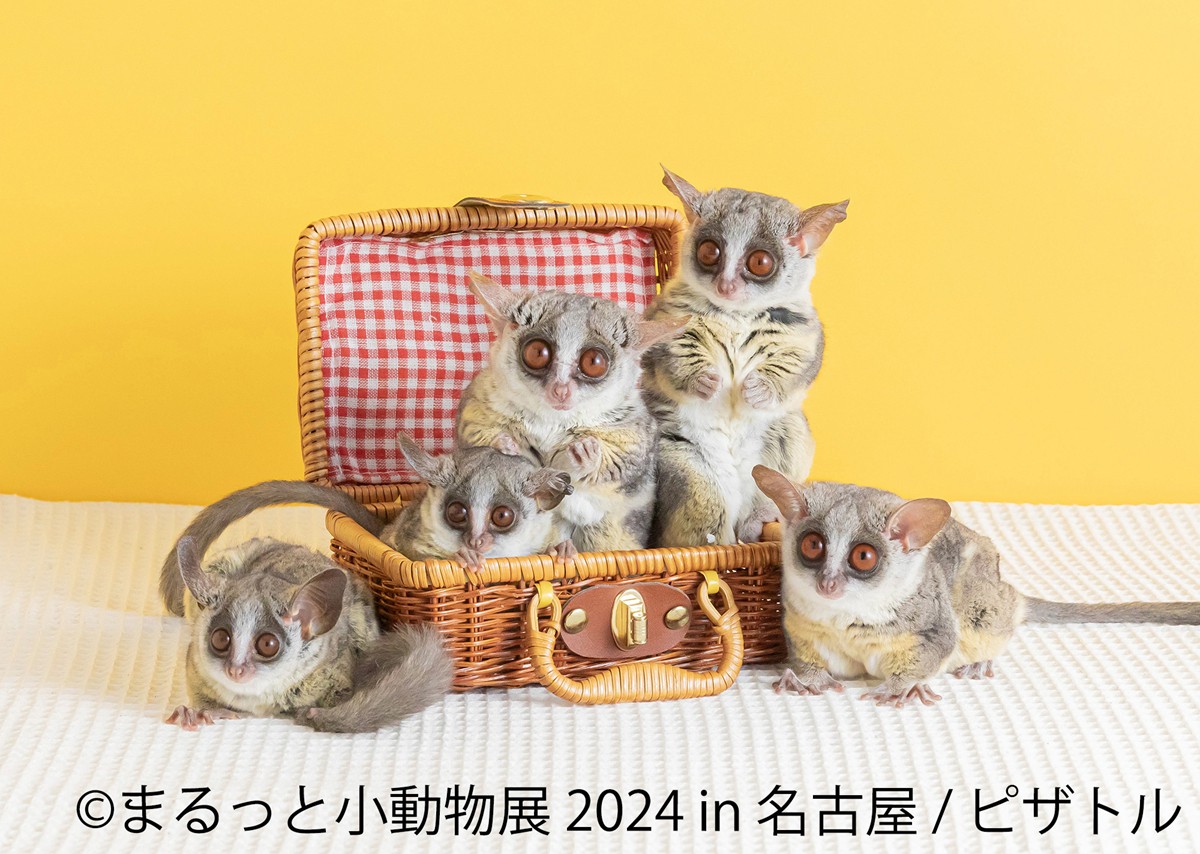 20240209「まるっと小動物展 2024 in 名古屋」