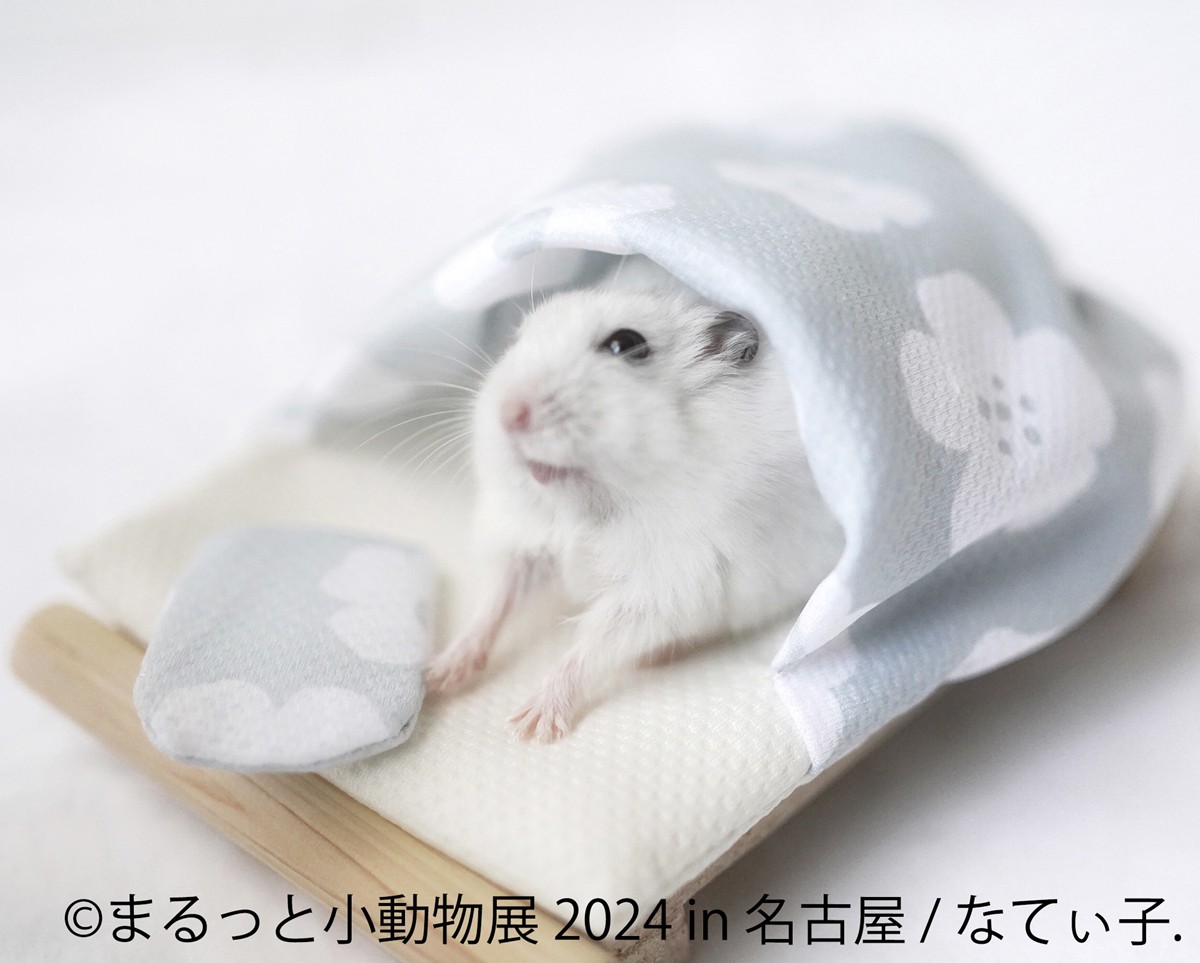 20240209「まるっと小動物展 2024 in 名古屋」