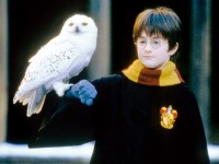 『ハリー・ポッター』ドラマシリーズ、2026年配信へ　原作者がスタジオトップと協議