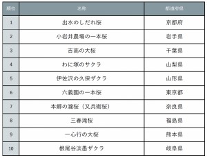 20240308「じゃらん 会いに行きたい一本桜ランキング」