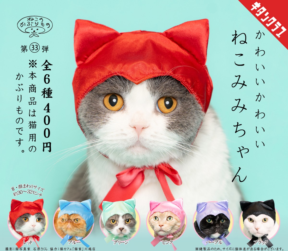 20240719_「かわいい かわいい ねこみみちゃん」