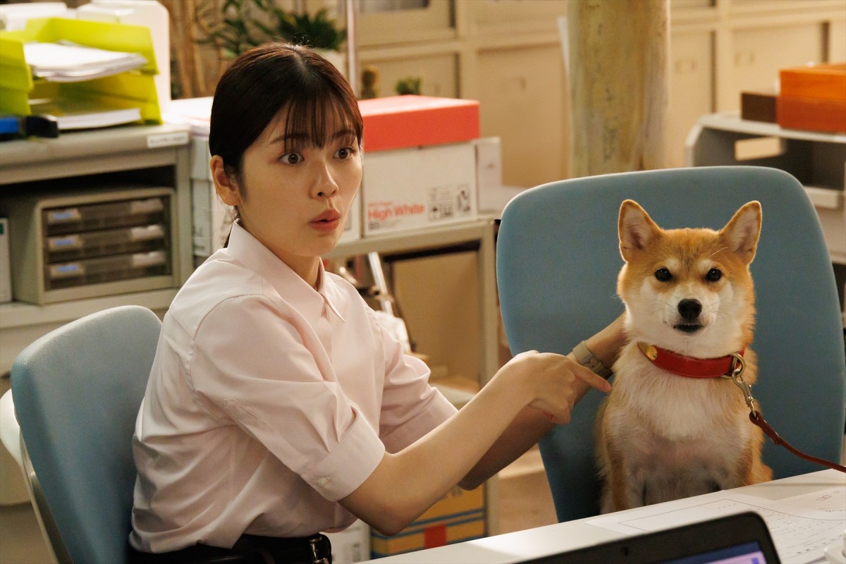 『GO HOME~警視庁身元不明人相談室~』第7話場面写真