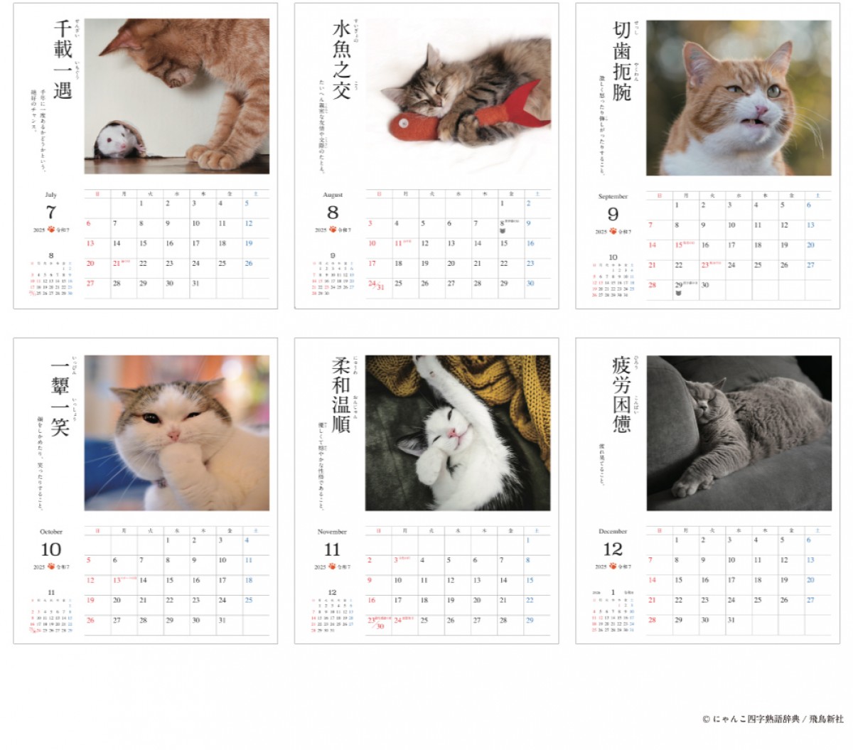 20240919 にゃんこ四字熟語辞典