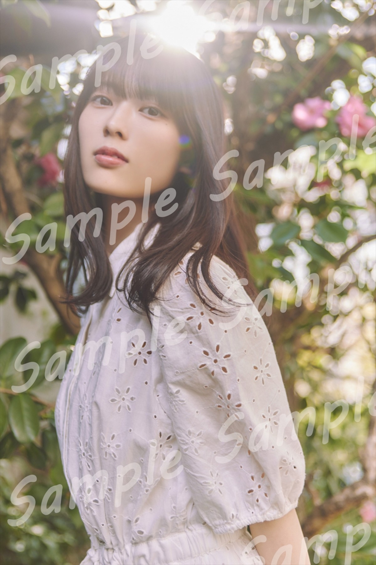 乃木坂46・岩本蓮加1st写真『いたずらな風』、書店別ポスター＆ポストカード特典の絵柄公開