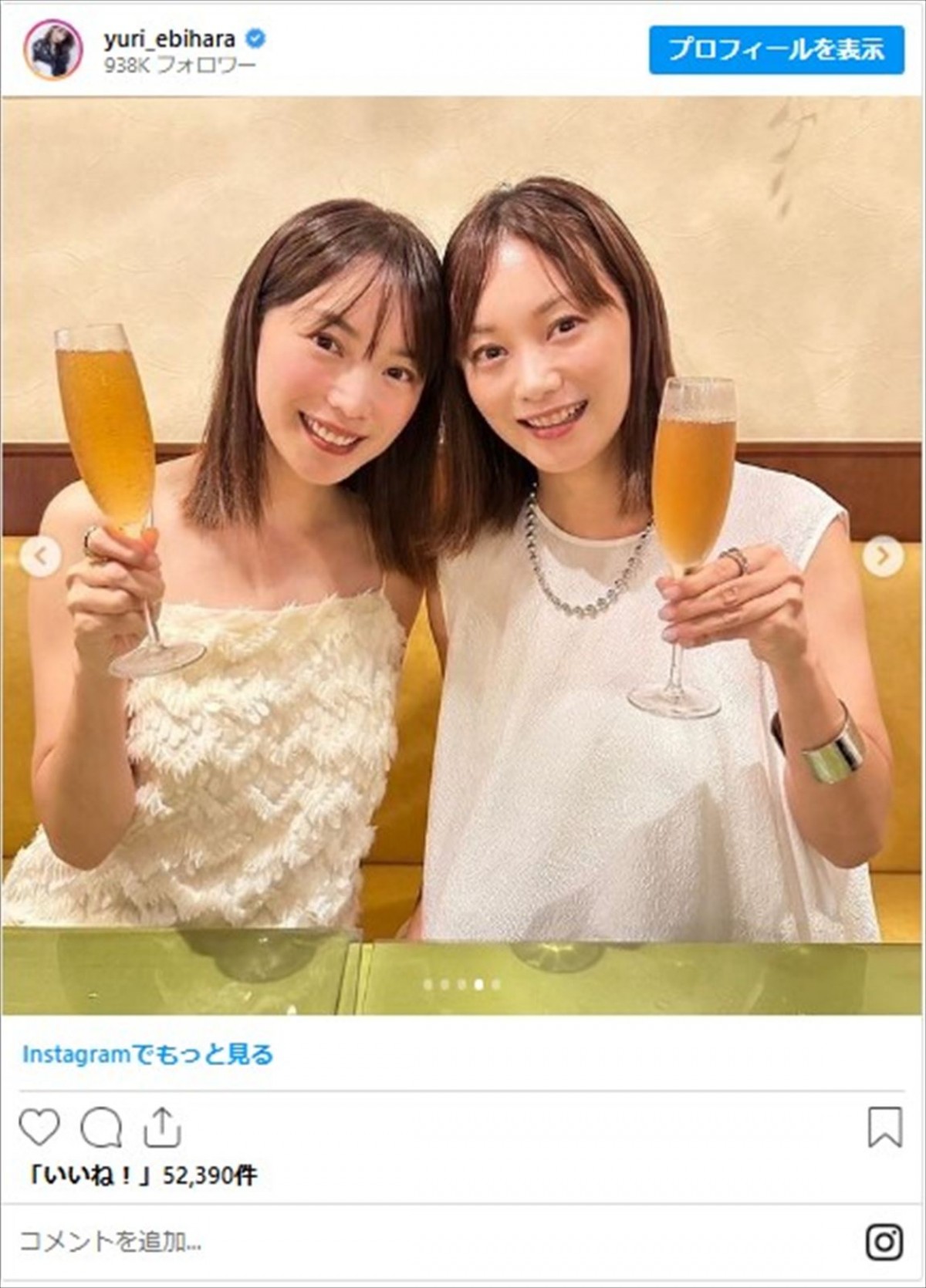 エビちゃん姉妹にカジサック美人娘も！　芸能人の“双子コーデ”　鈴木奈々は人気プロレスラーとそっくりに