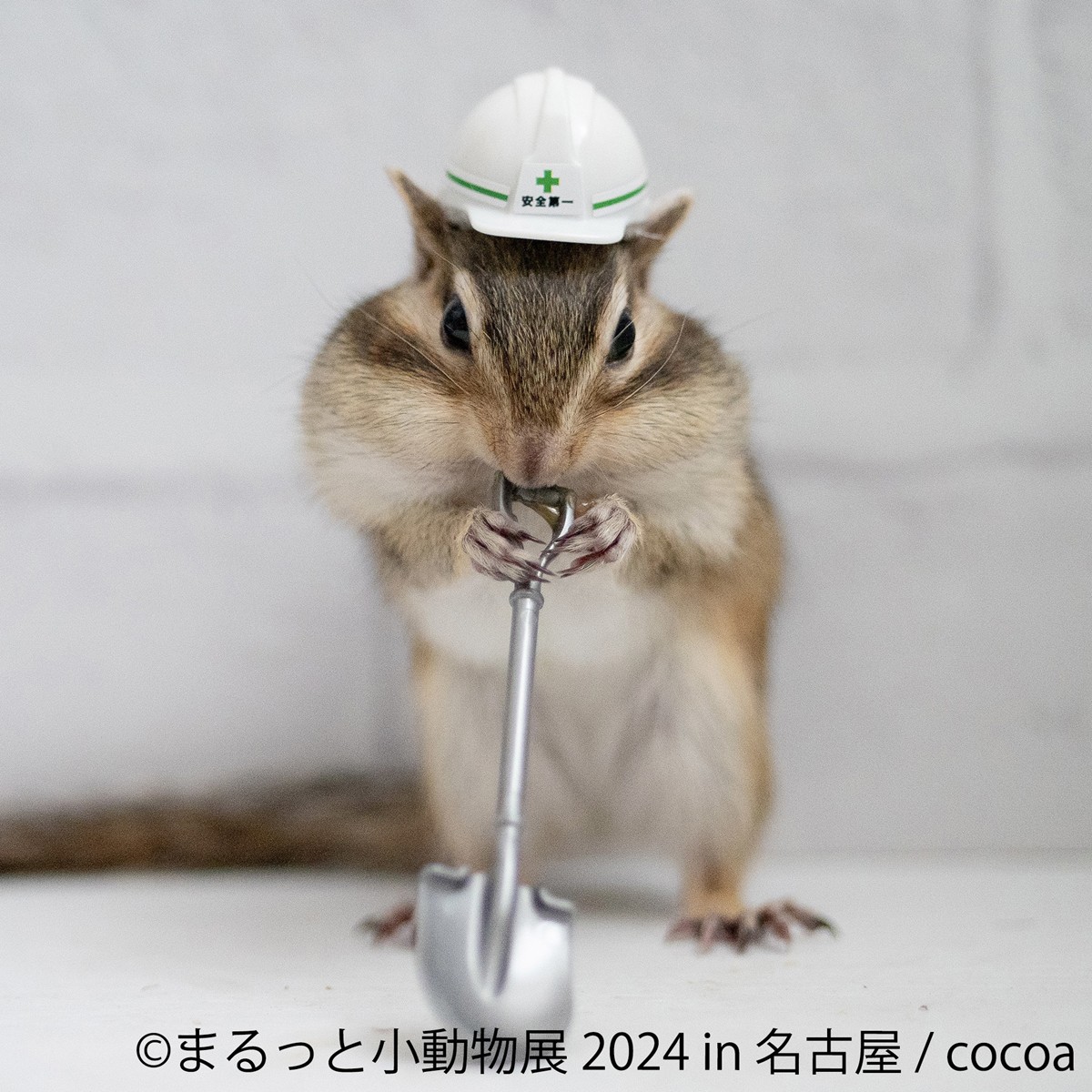 20240209「まるっと小動物展 2024 in 名古屋」