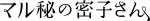 ドラマ『マル秘の密子さん』ロゴ