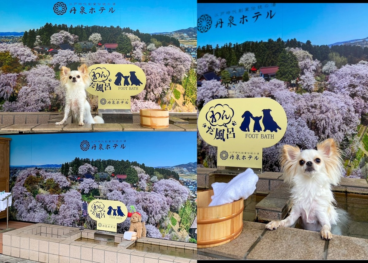 2024.7.19赤湯温泉旅館の丹泉ホテル