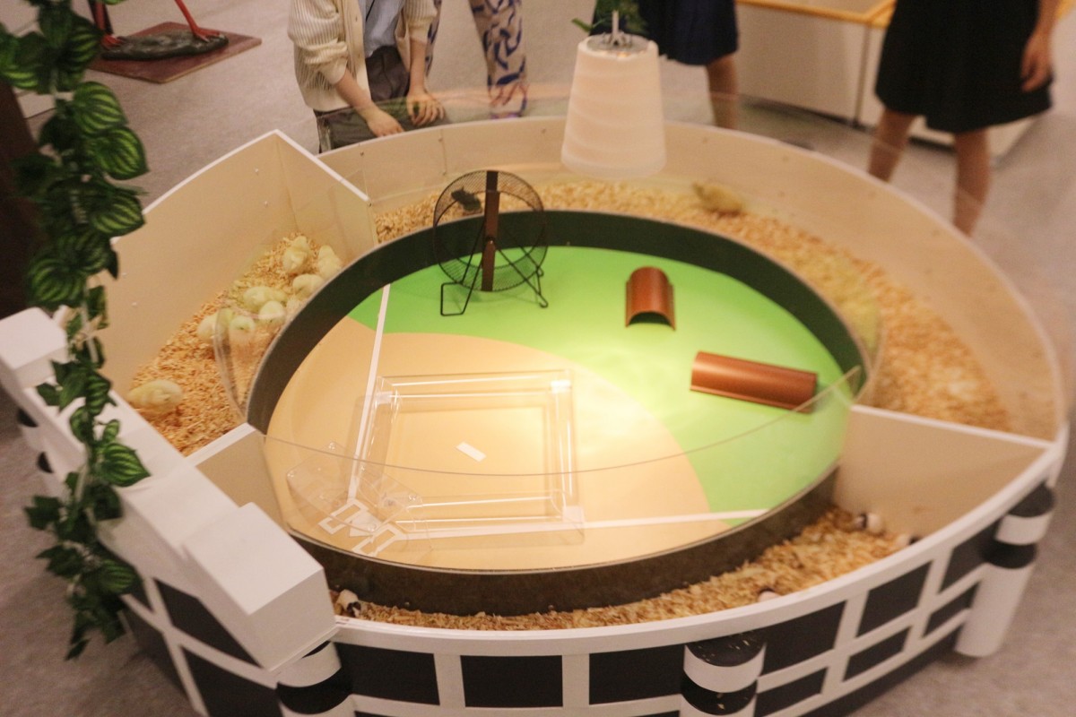 “アニタッチ 東京ドームシティ”の様子＿20240725