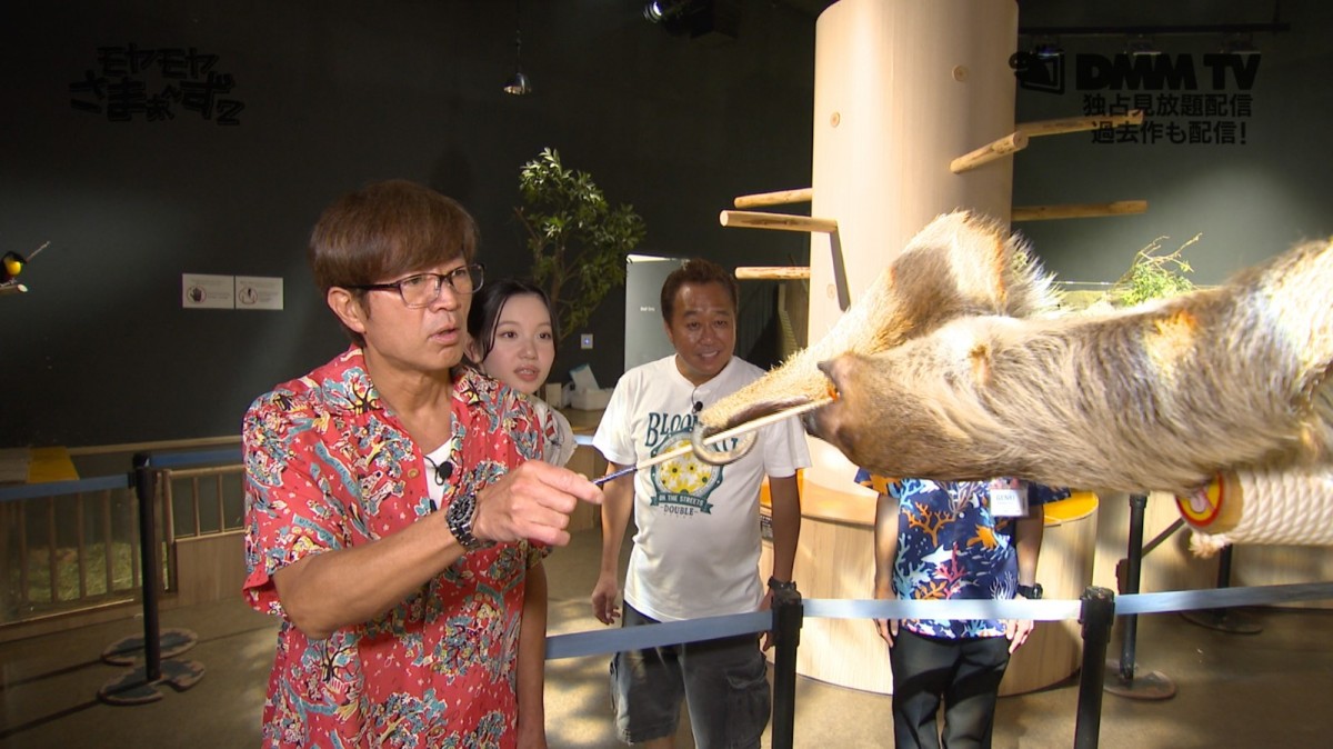 『モヤさま』リゾートシリーズ第2弾“沖縄＆石垣島”予告編解禁　水族館でなぜかナマケモノと遭遇？