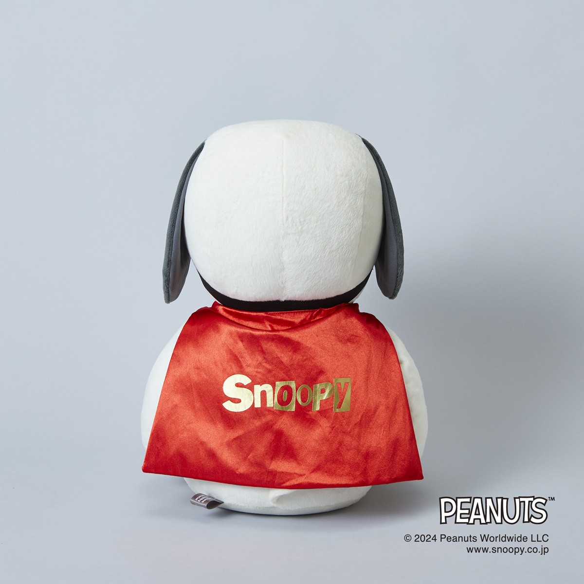 20240703「『PEANUTS』トレーニンググッズ」