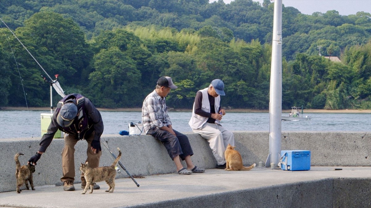 人と猫と自然の共生を映し出すドキュメンタリー映画『五香宮の猫』本予告解禁　ほしよりこ、小林聡美らのコメントも到着