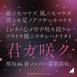 櫻坂46新メンバーオーディションキービジュアル