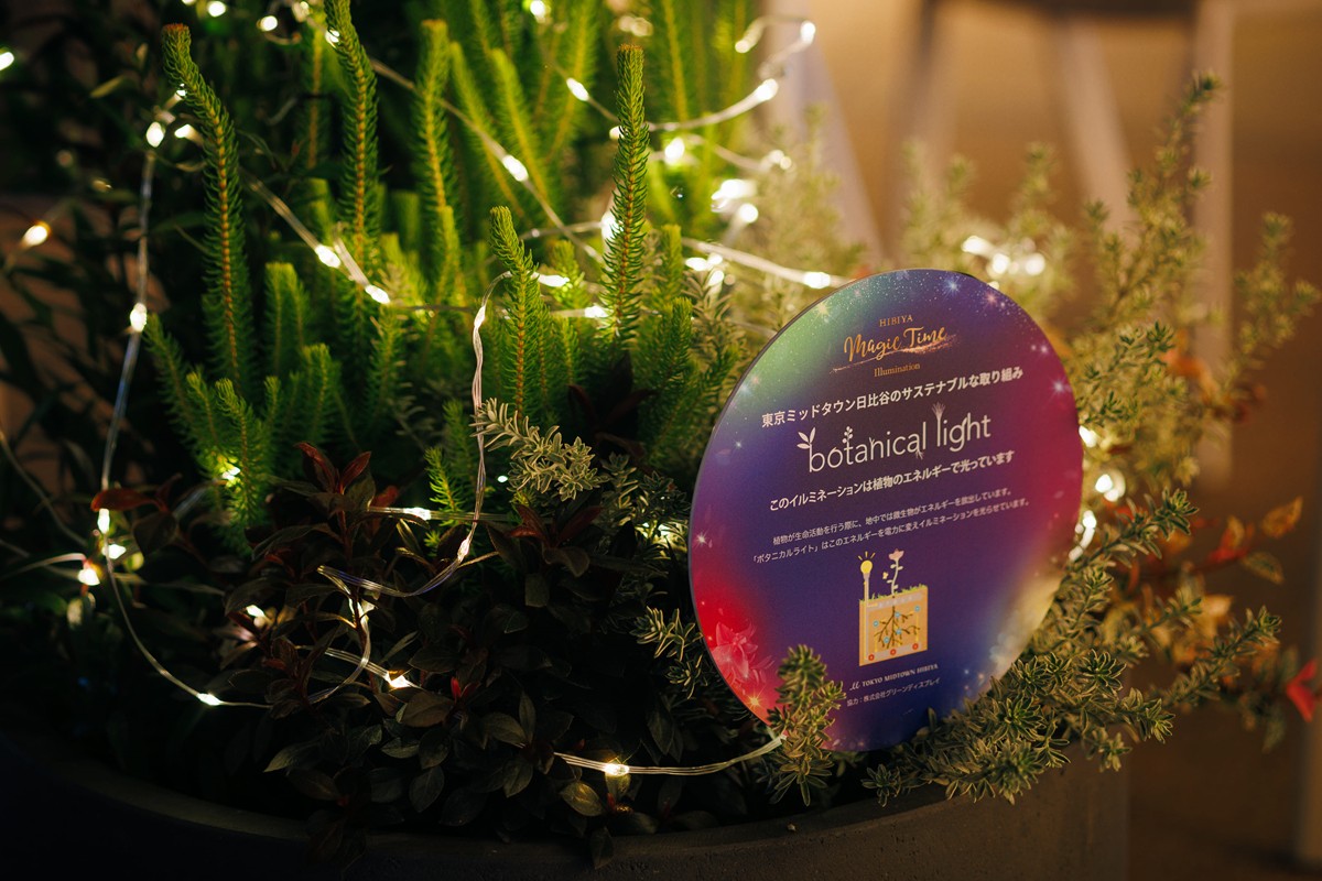 20240926「HIBIYA Magic Time Illumination 2024」