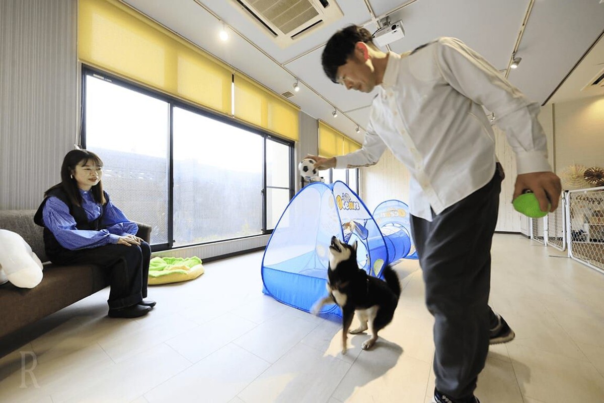 20240905「静岡・ゆるり西伊豆で愛犬と滞在を満喫」