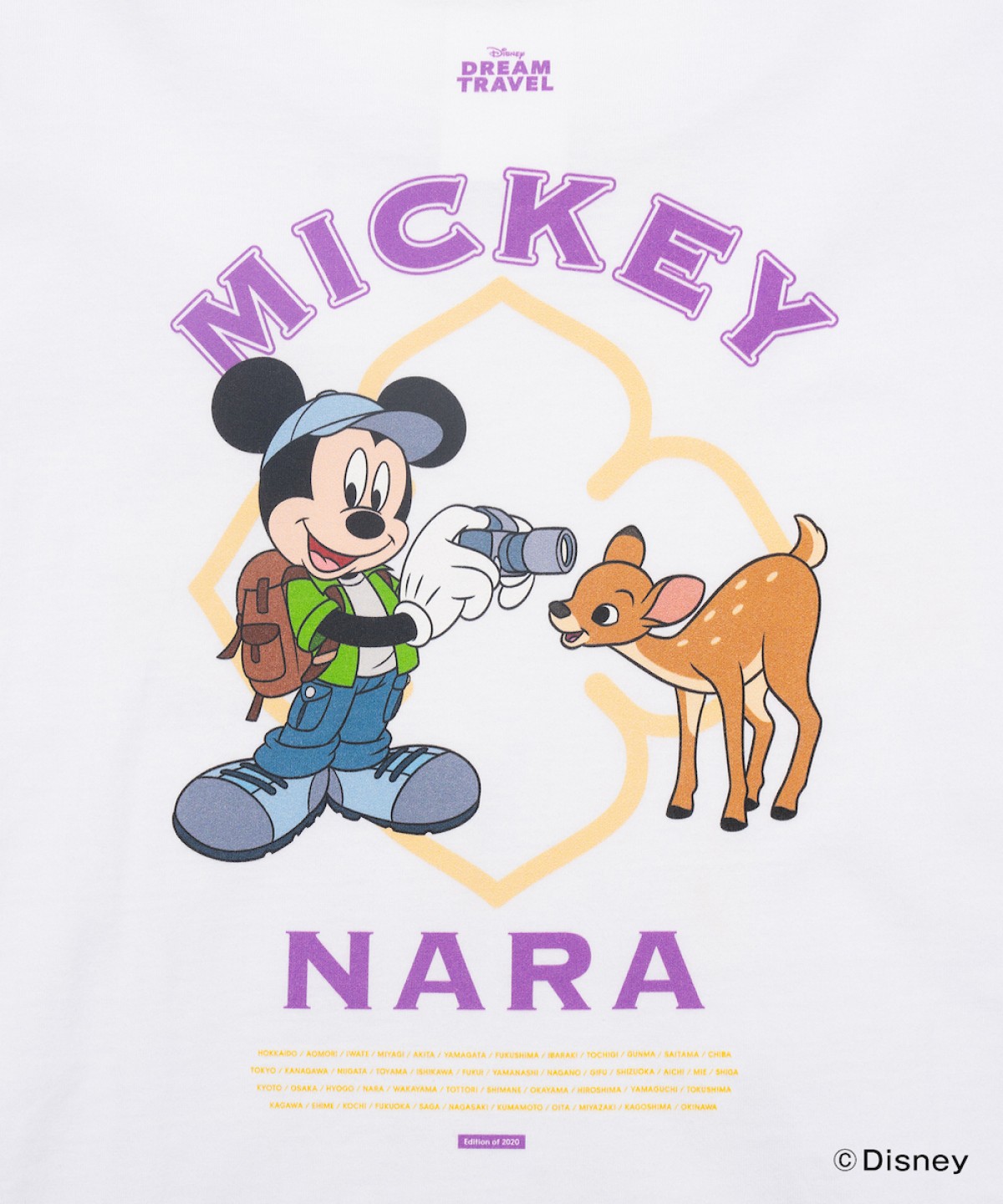 241213_ご当地ディズニーTシャツ