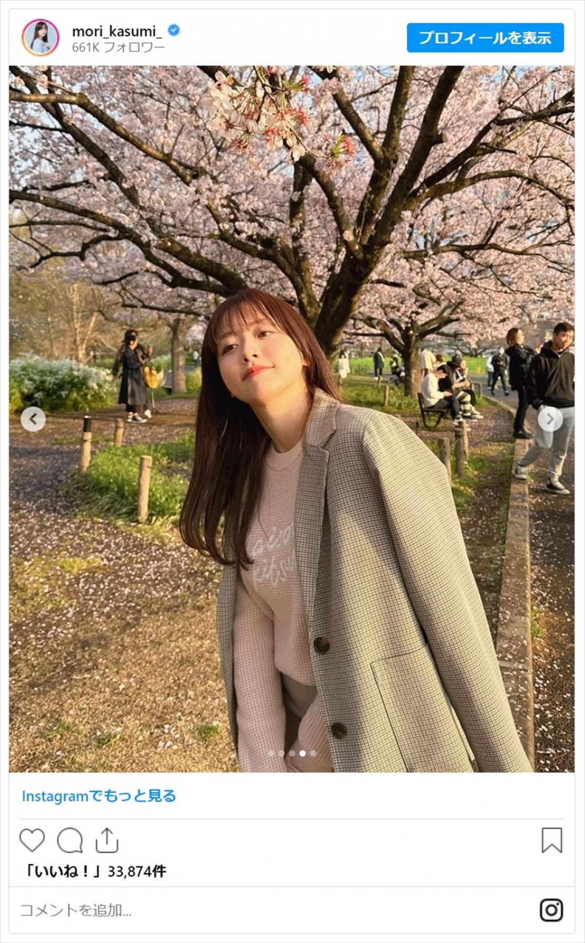 美女たちと桜が“美の競演”！　女性芸能人のお花見ショットをイッキ見