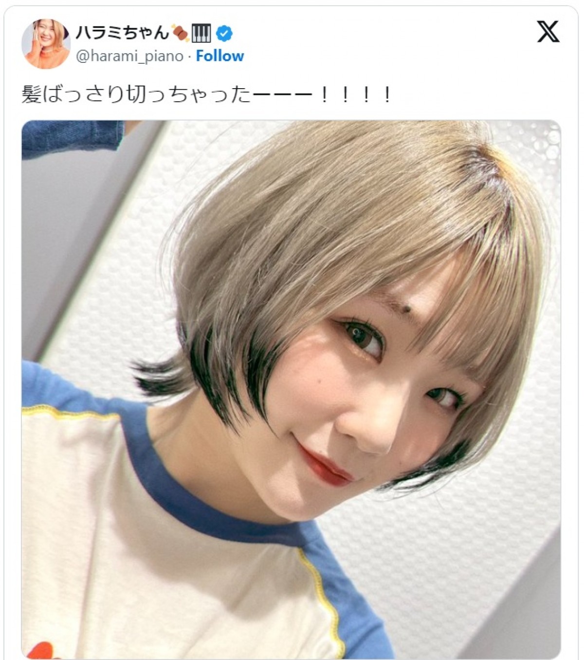 ハラミちゃん、ボブカットがかわいすぎる　※「ハラミちゃん」エックス