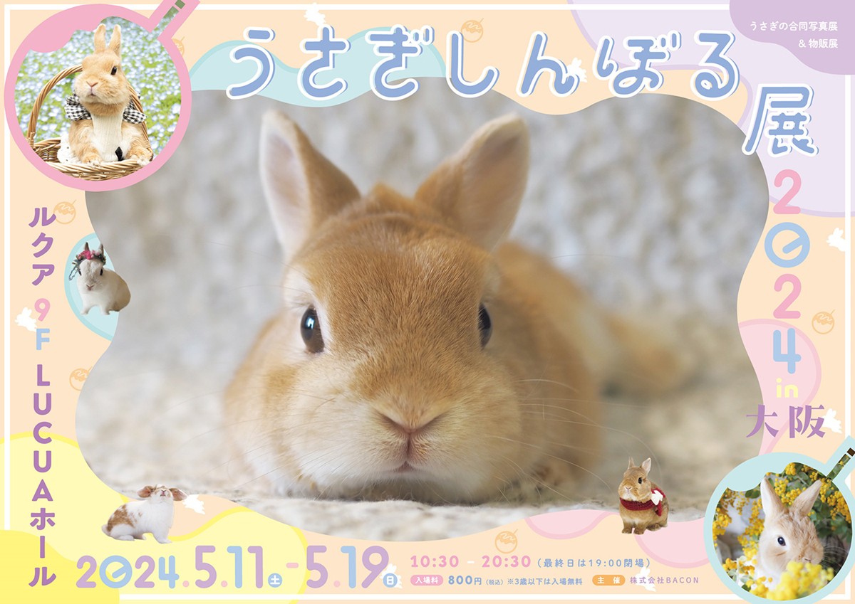 20240425「うさぎしんぼる展 2024 in 大阪」