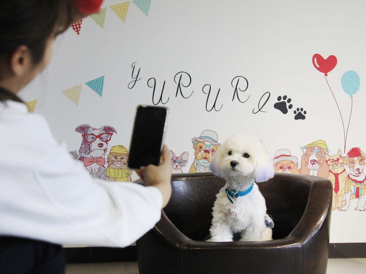 20240613「ゆるり箱根with DOGS」