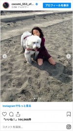 愛犬との思い出の写真を公開したCocomi　※「Cocomi」インスタグラム
