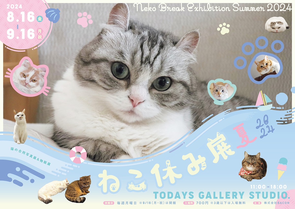 20240704「ねこ休み展 夏2024」
