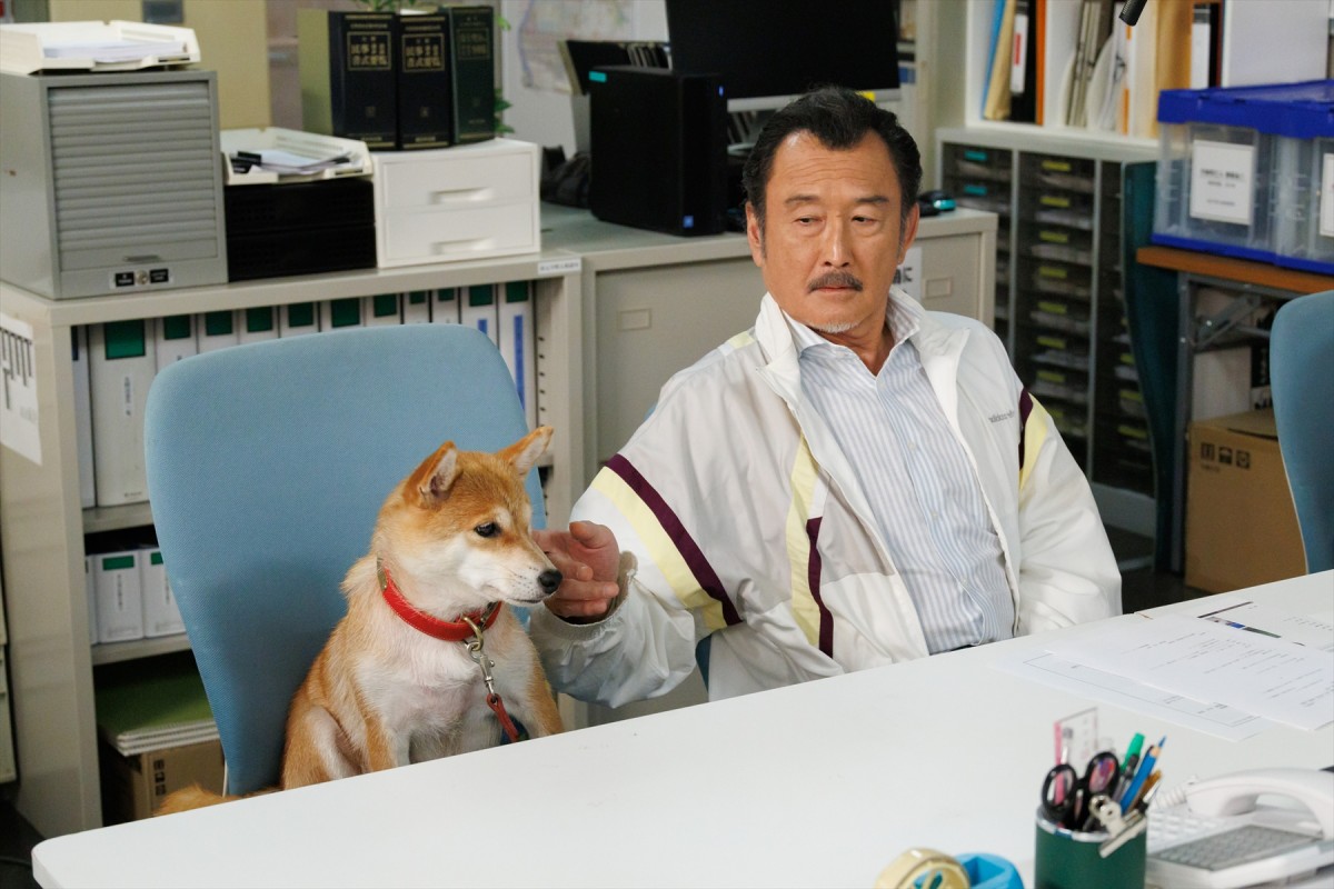 『GO HOME』“利根川”吉田鋼太郎、“桜”小芝風花への忠告にネット共感「かなり正しい」