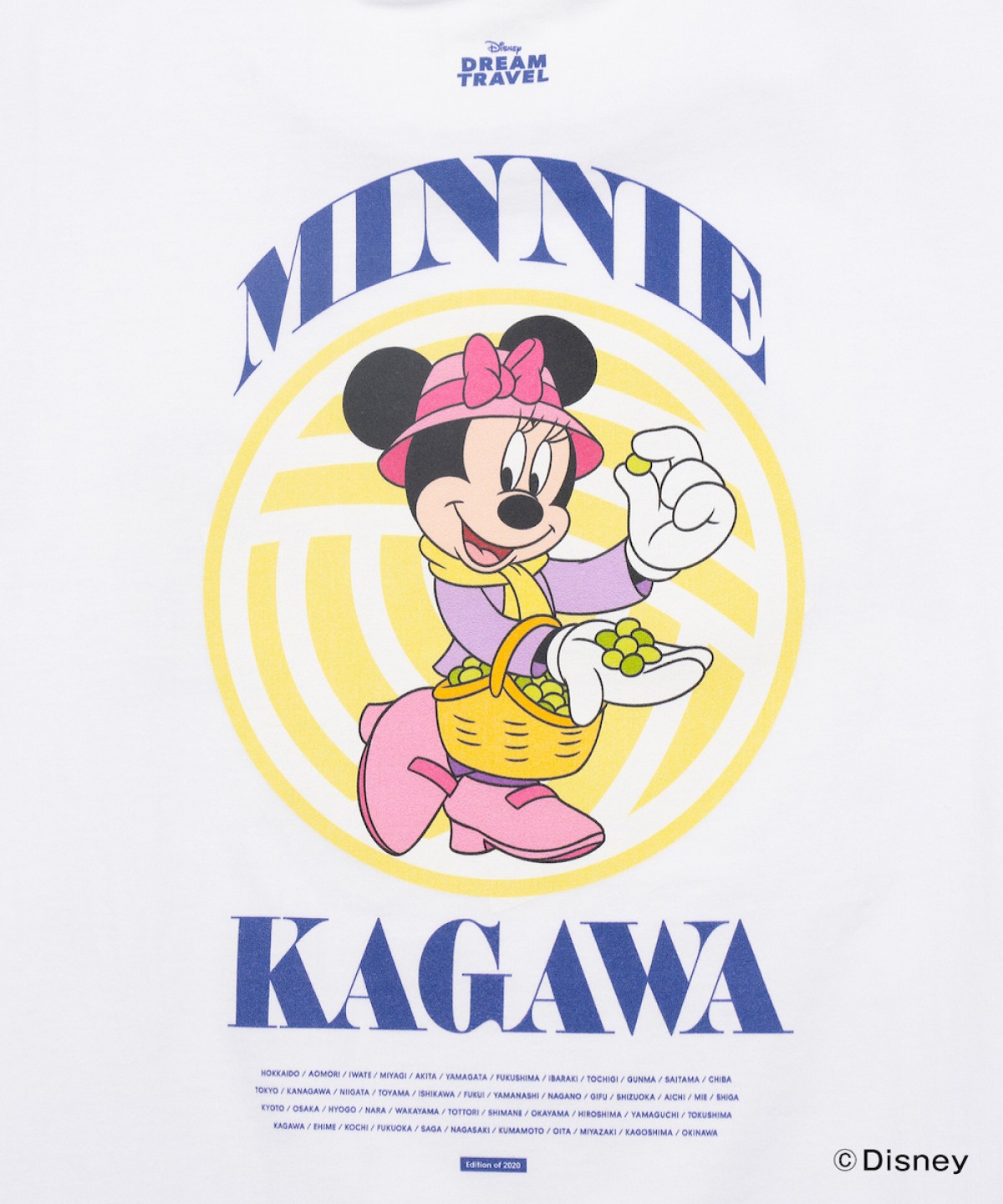 241213_ご当地ディズニーTシャツ