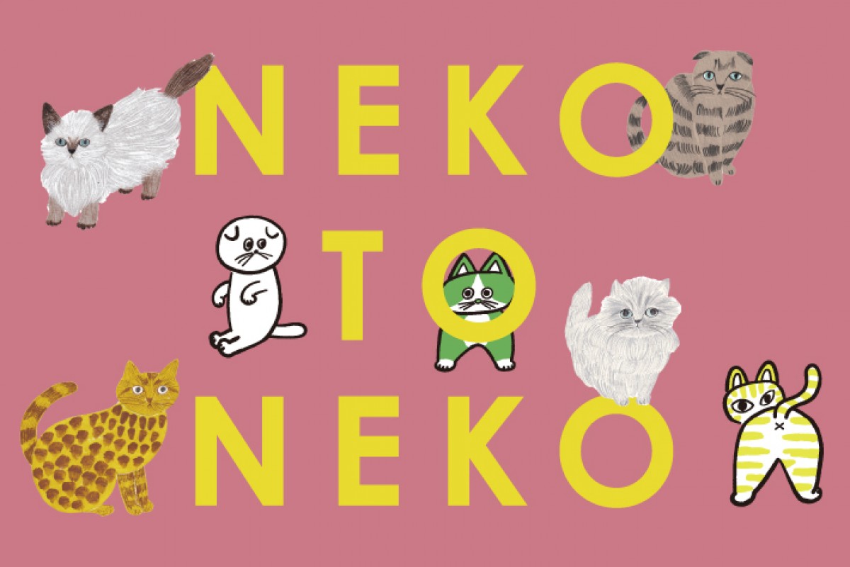 240112_NEKO TO NEKO
