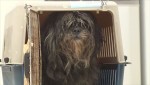 1月13日放送の『嗚呼!!みんなの動物園』より