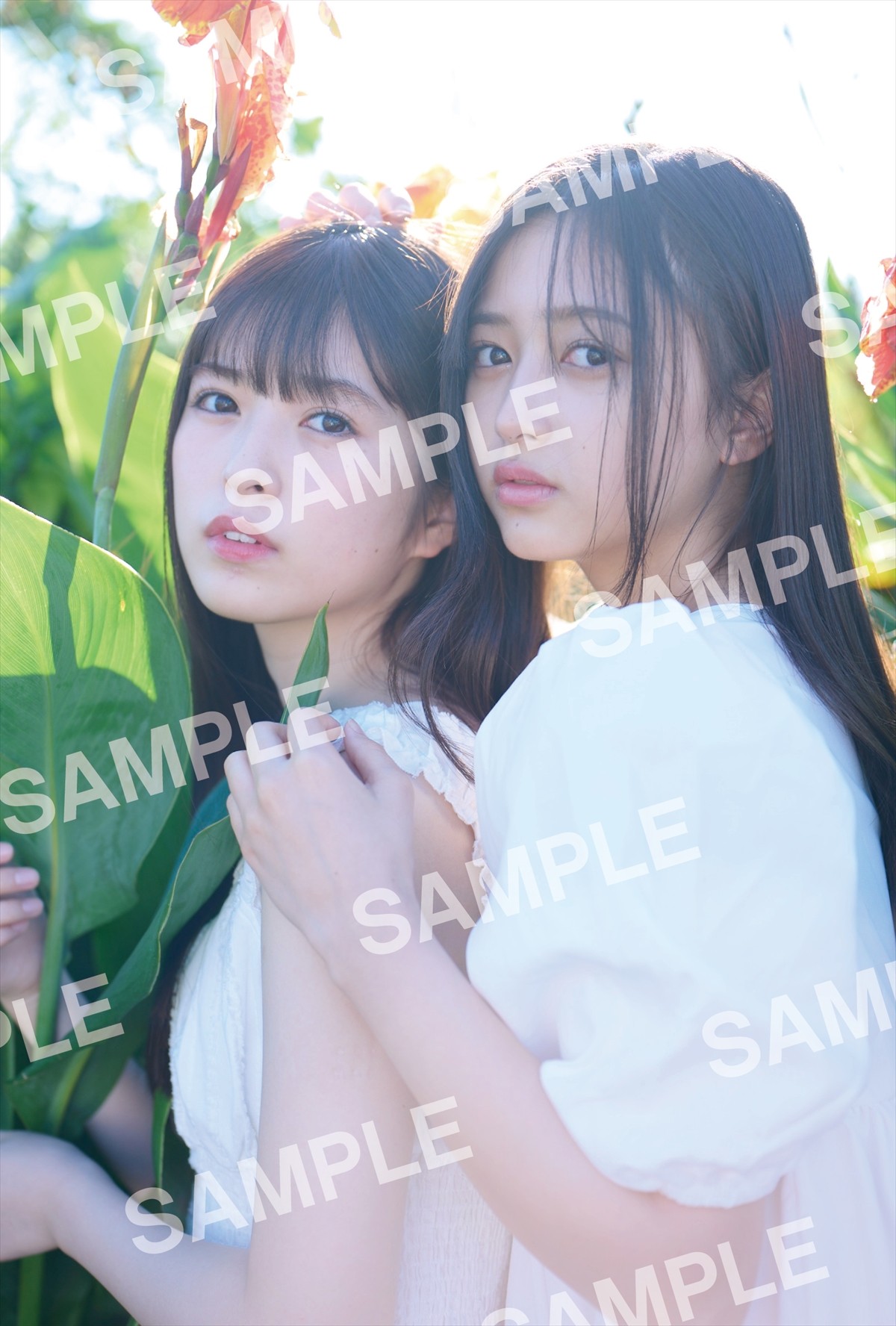 乃木坂46 5期生写真集『あの頃、乃木坂にいた』書店別特典解禁　メッセージ入りポストカード＆折り目無しポスター全18種をチェック