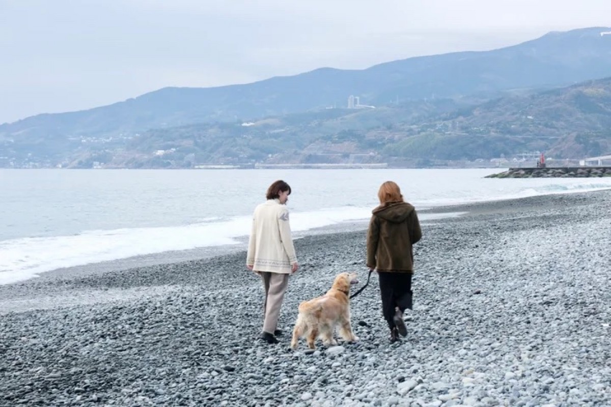 240305_いぬと海辺