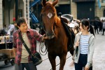 映画『ライド・オン』場面写真