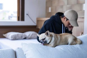 広島に“愛犬と泊まれる1棟貸ヴィラ”誕生！　ドッグコンシェルジュが快適な滞在を提供