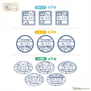 20240510 しろたん