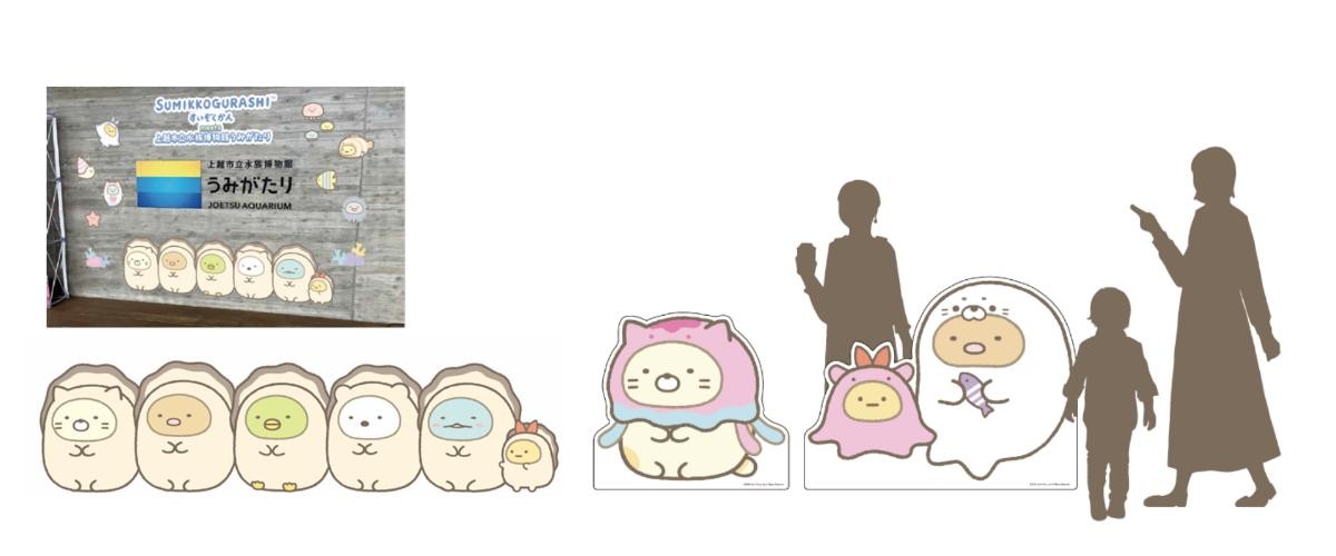 20240612「すみっコぐらしすいぞくかん meets 上越市立水族博物館 うみがたり」