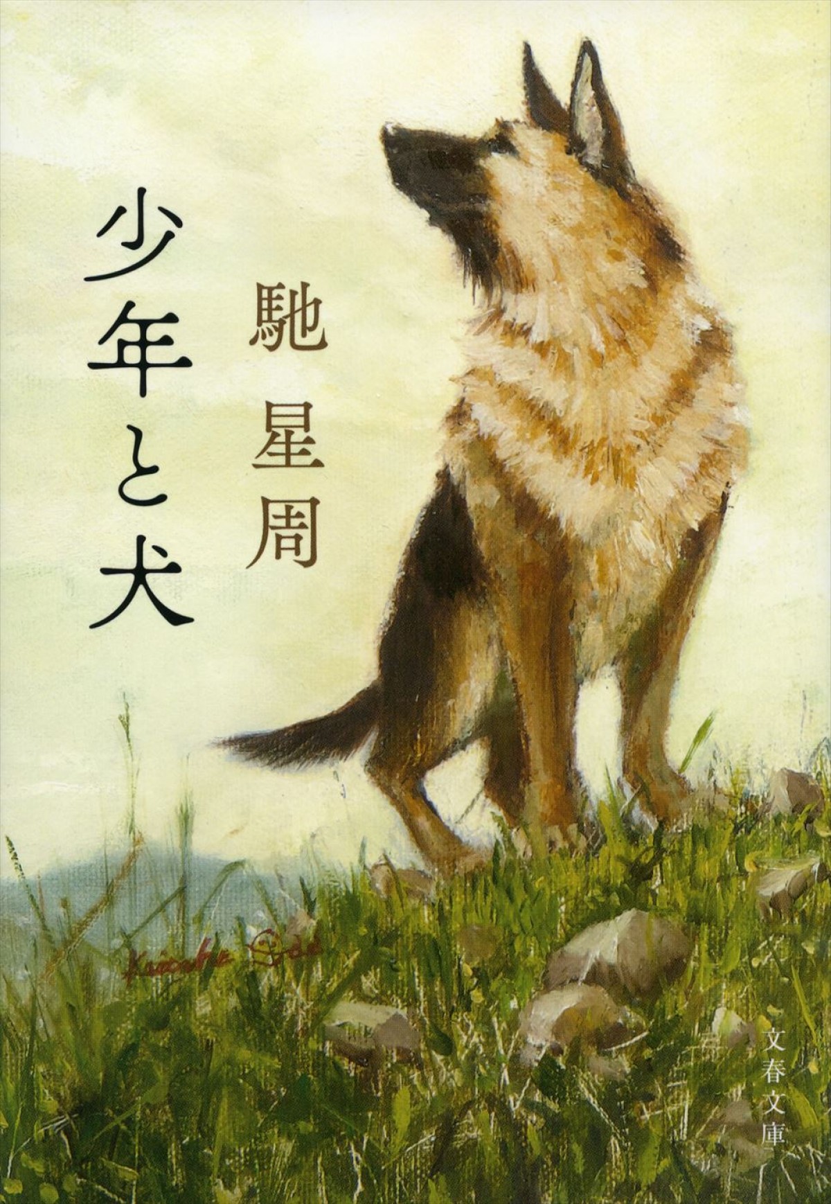 馳星周の直木賞受賞作『少年と犬』を高橋文哉＆西野七瀬W主演で映画化！　コメント到着